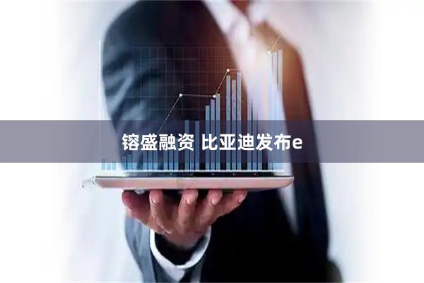 镕盛融资 比亚迪发布e